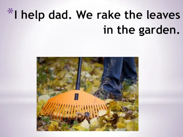 I help dad. We rake the leaves in the garden.