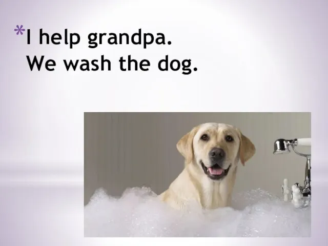 I help grandpa. We wash the dog.