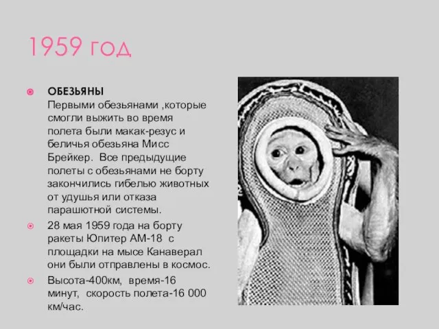 1959 год ОБЕЗЬЯНЫ Первыми обезьянами ,которые смогли выжить во время полета