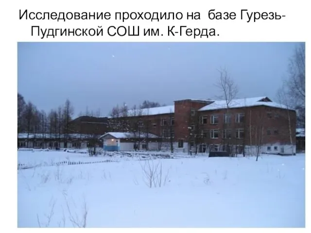 Исследование проходило на базе Гурезь-Пудгинской СОШ им. К-Герда.