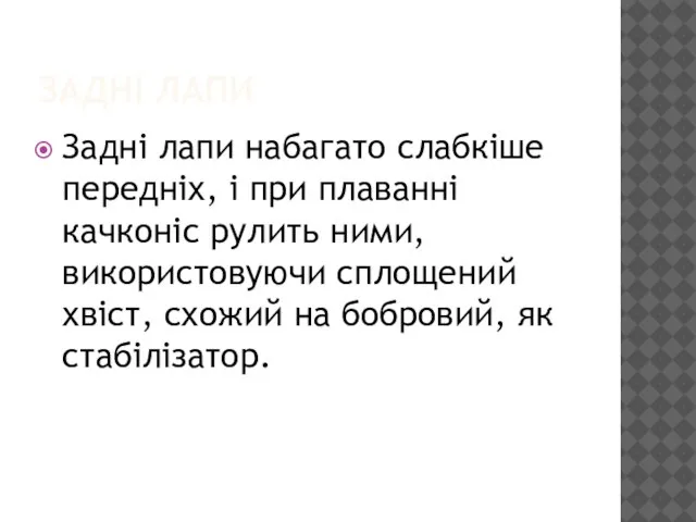 ЗАДНІ ЛАПИ Задні лапи набагато слабкіше передніх, і при плаванні качконіс