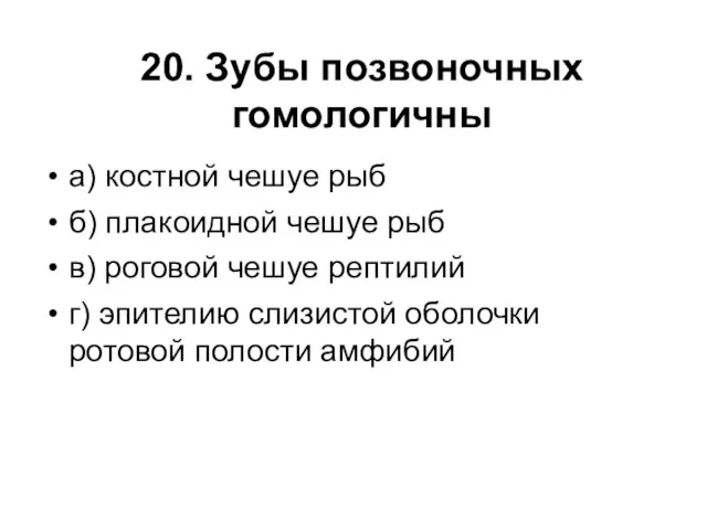 20. Зубы позвоночных гомологичны а) костной чешуе рыб б) плакоидной чешуе