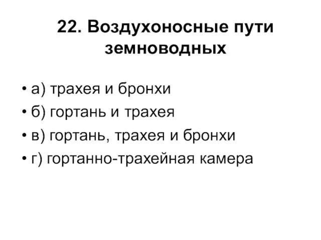 22. Воздухоносные пути земноводных а) трахея и бронхи б) гортань и