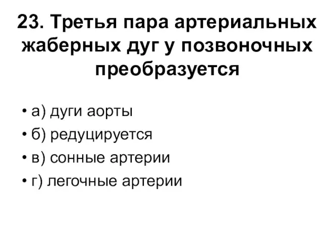 23. Третья пара артериальных жаберных дуг у позвоночных преобразуется а) дуги