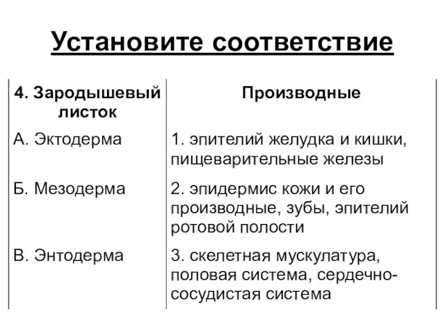 Установите соответствие