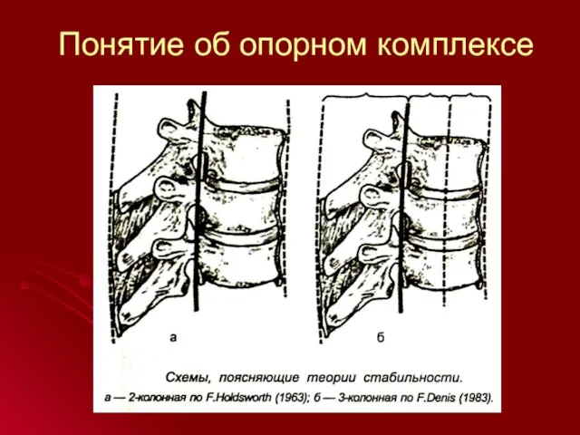 Понятие об опорном комплексе