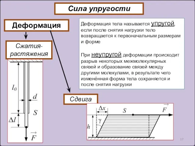 Деформация Сжатия- растяжения Сила упругости Сдвига Деформация тела называется упругой, если