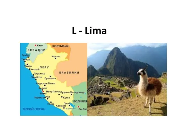 L - Lima