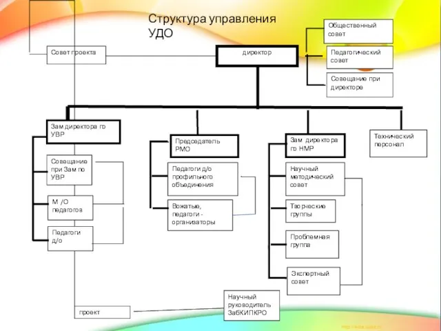 Педагоги д/о профильного объединения Вожатые, педагоги - организаторы Председатель РМО проект