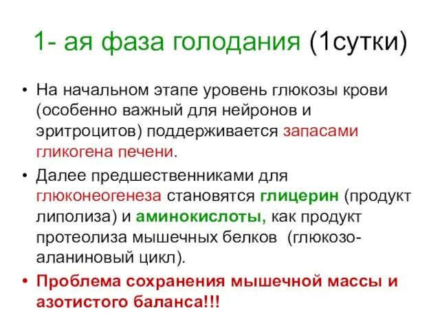 1- ая фаза голодания (1сутки) На начальном этапе уровень глюкозы крови