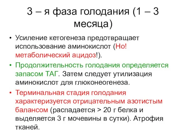 3 – я фаза голодания (1 – 3 месяца) Усиление кетогенеза