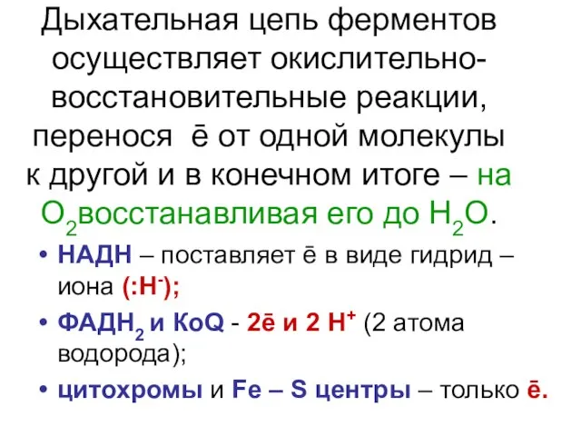 Дыхательная цепь ферментов осуществляет окислительно- восстановительные реакции, перенося ē от одной