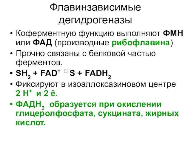 Флавинзависимые дегидрогеназы Коферментную функцию выполняют ФМН или ФАД (производные рибофлавина) Прочно