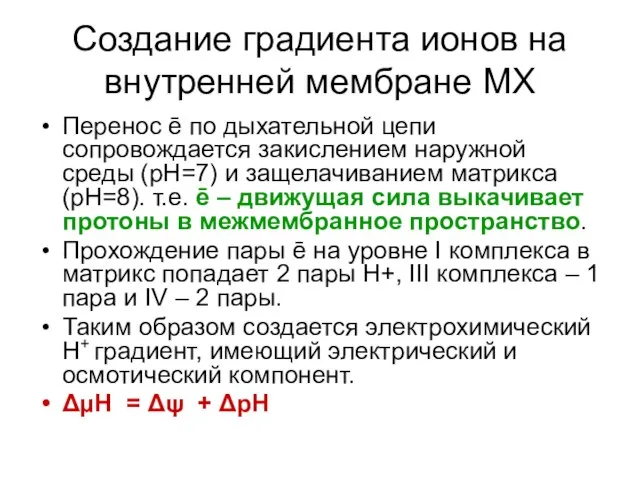 Создание градиента ионов на внутренней мембране МХ Перенос ē по дыхательной