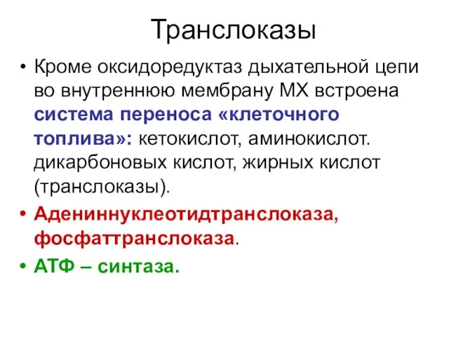 Транслоказы Кроме оксидоредуктаз дыхательной цепи во внутреннюю мембрану МХ встроена система