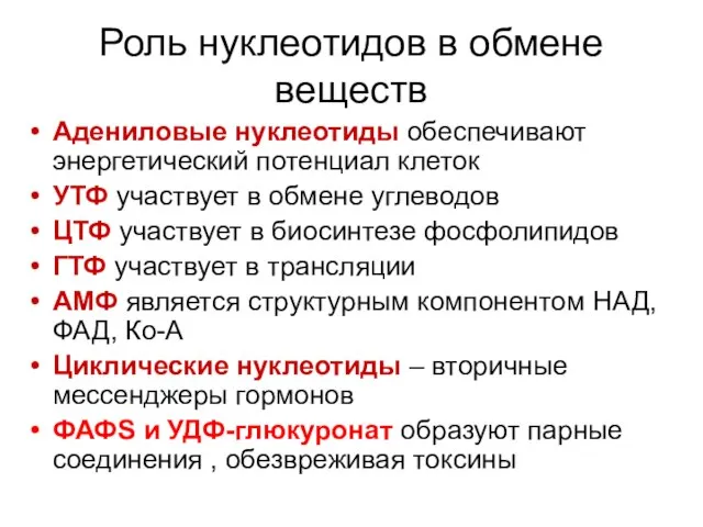 Роль нуклеотидов в обмене веществ Адениловые нуклеотиды обеспечивают энергетический потенциал клеток