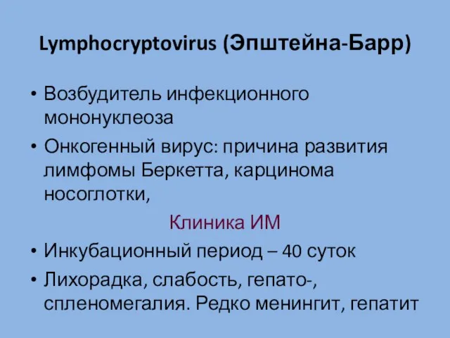 Lymphocryptovirus (Эпштейна-Барр) Возбудитель инфекционного мононуклеоза Онкогенный вирус: причина развития лимфомы Беркетта,