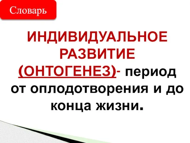 ИНДИВИДУАЛЬНОЕ РАЗВИТИЕ (ОНТОГЕНЕЗ)- период от оплодотворения и до конца жизни. Словарь