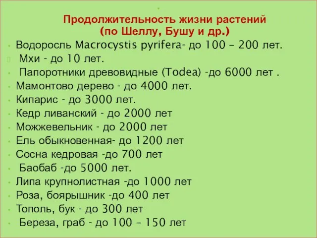 Продолжительность жизни растений (по Шеллу, Бушу и др.) Водоросль Macrocystis pyrifera-