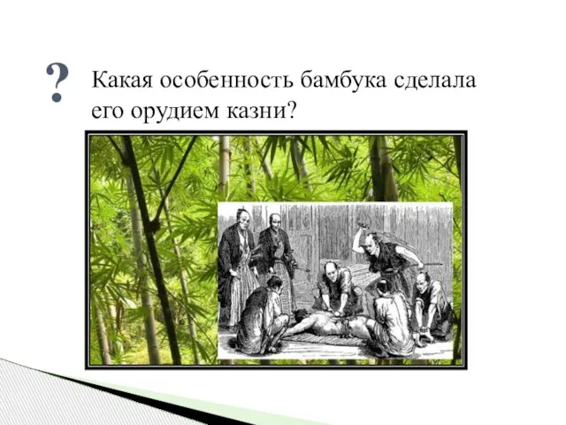 ? Какая особенность бамбука сделала его орудием казни?