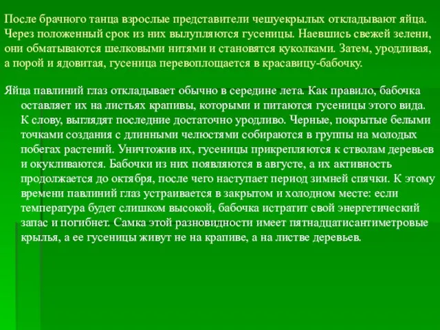 После брачного танца взрослые представители чешуекрылых откладывают яйца. Через положенный срок