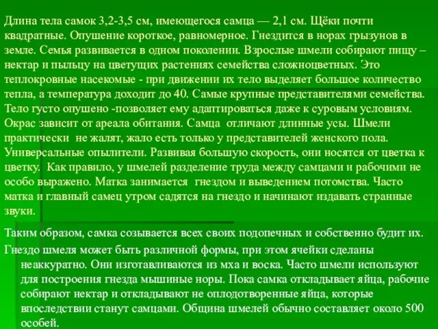 Длина тела самок 3,2-3,5 см, имеющегося самца — 2,1 см. Щёки