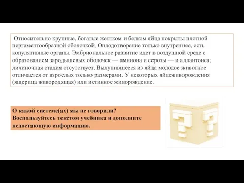 Относительно крупные, богатые желтком и белком яйца покрыты плотной пергаментообразной оболочкой.