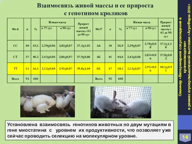 Взаимосвязь живой массы и ее прироста с генотипом кроликов 14 Установлена