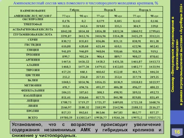 Аминокислотный состав мяса помесного и чистопородного молодняка кроликов, % 16 Семинар