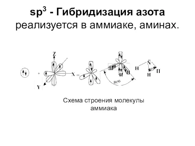 sp3 - Гибридизация азота реализуется в аммиаке, аминах. Схема строения молекулы аммиака