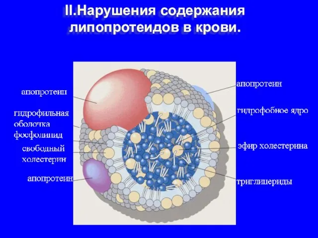 II.Нарушения содержания липопротеидов в крови.