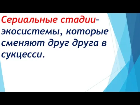 Сериальные стадии– экосистемы, которые сменяют друг друга в сукцесси.