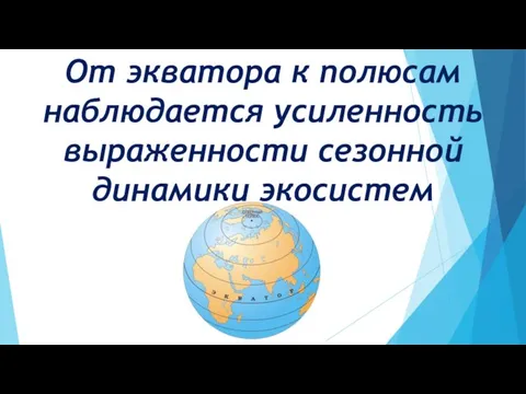 От экватора к полюсам наблюдается усиленность выраженности сезонной динамики экосистем