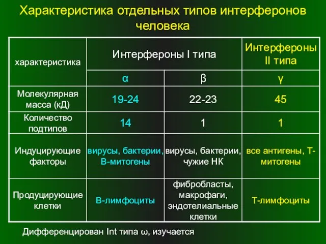 Характеристика отдельных типов интерферонов человека Дифференцирован Int типа ω, изучается