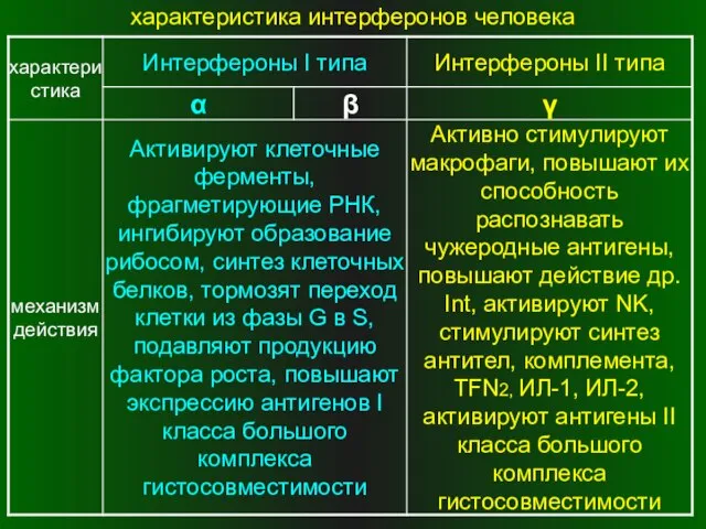 характеристика интерферонов человека