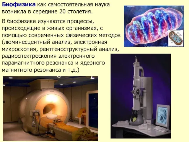 Биофизика как самостоятельная наука возникла в середине 20 столетия. В биофизике