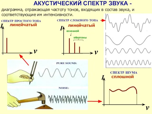 АКУСТИЧЕСКИЙ СПЕКТР ЗВУКА - диаграмма, отражающая частоту тонов, входящих в состав