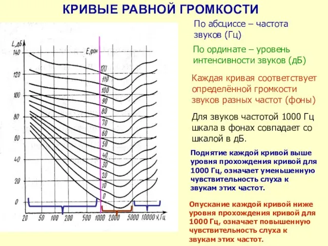 По ординате – уровень интенсивности звуков (дБ) КРИВЫЕ РАВНОЙ ГРОМКОСТИ По