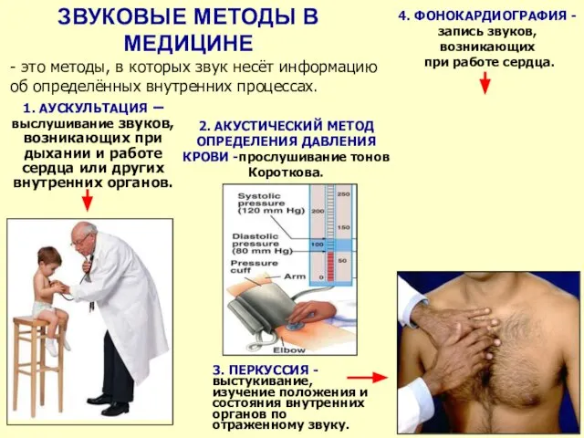 1. АУСКУЛЬТАЦИЯ – выслушивание звуков, возникающих при дыхании и работе сердца