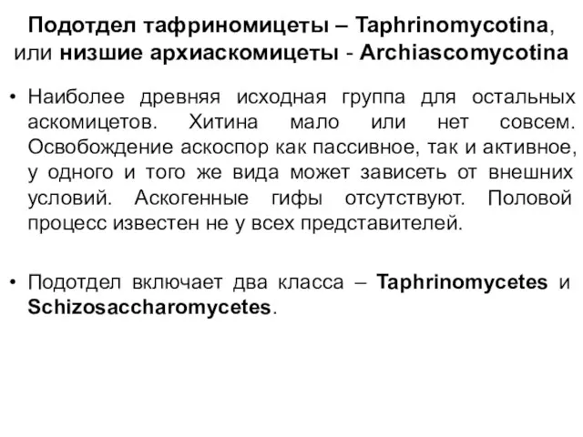 Подотдел тафриномицеты – Taphrinomycotina, или низшие архиаскомицеты - Archiascomycotina Наиболее древняя