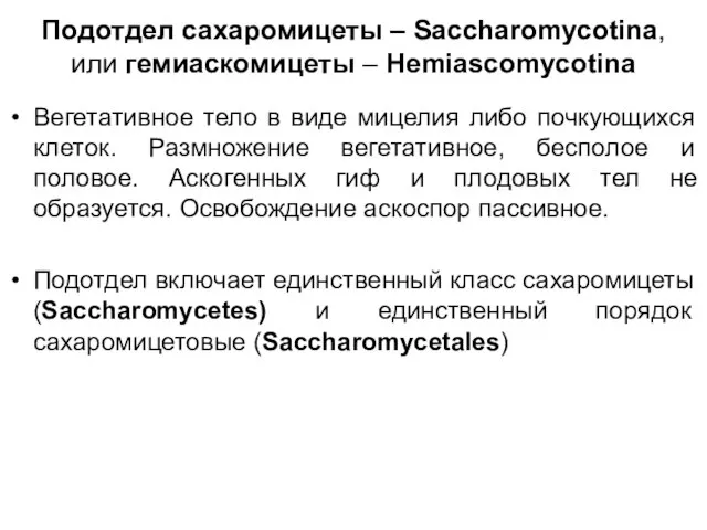 Подотдел сахаромицеты – Saccharomycotina, или гемиаскомицеты – Hemiascomycotina Вегетативное тело в