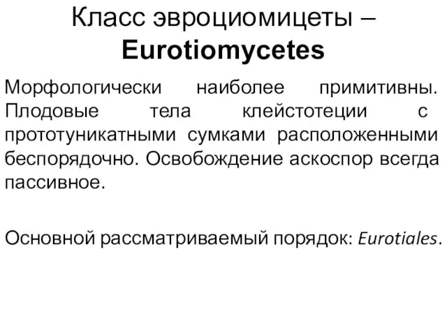 Класс эвроциомицеты – Eurotiomycetes Морфологически наиболее примитивны. Плодовые тела клейстотеции с