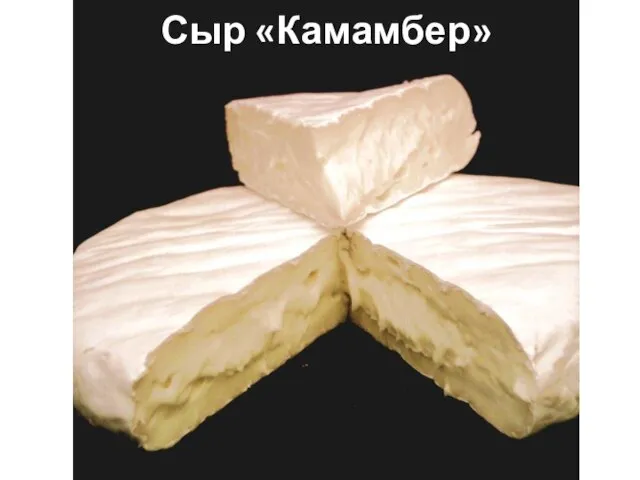 Сыр «Камамбер»