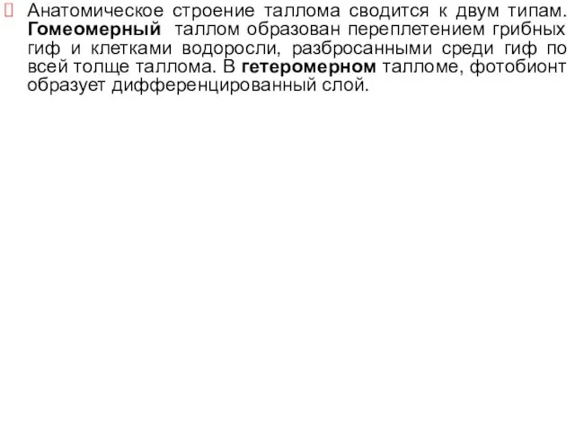 Анатомическое строение таллома сводится к двум типам. Гомеомерный таллом образован переплетением