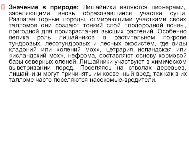 Значение в природе: Лишайники являются пионерами, заселяющими вновь образовавшиеся участки суши.