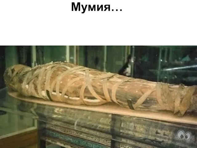 Мумия…