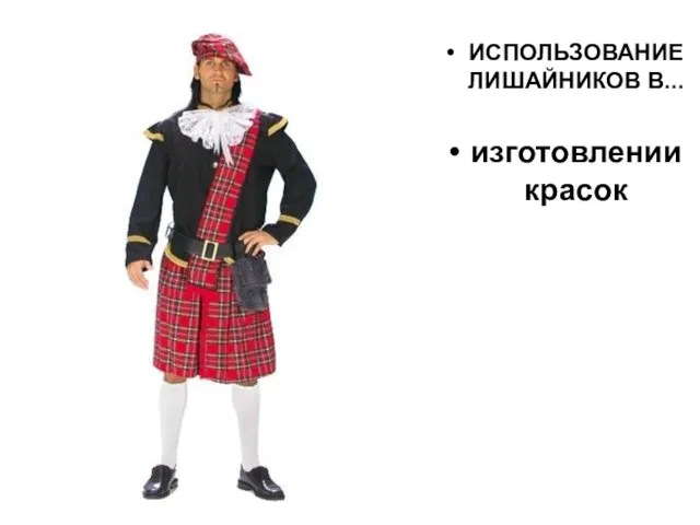 ИСПОЛЬЗОВАНИЕ ЛИШАЙНИКОВ В... изготовлении красок