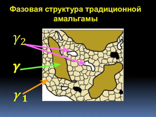 Фазовая структура традиционной амальгамы γ