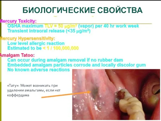 БИОЛОГИЧЕСКИЕ СВОЙСТВА «Тату»: Может возникать при удалении амальгамы, если нет коффердама