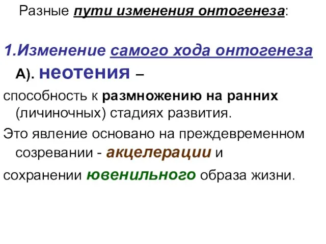 Разные пути изменения онтогенеза: 1.Изменение самого хода онтогенеза А). неотения –